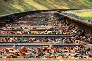 Low perspective of railway tracks in a rural area. photo