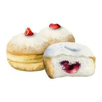 Watercolor donuts for Jewish Hanukkah holiday vector illustration. Hand drawn sufganiyot doughnuts