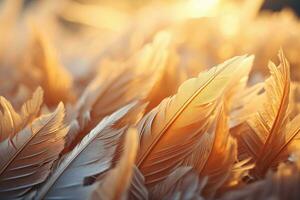 Ice crystals forming organic feather-like whimsical patterns across an outdoor window pane, backlit with streaming golden sunrise rays. The concept of the beauty of natural phenomena. AI Generated. photo