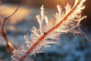 A close-up of a brown, bare tree branch encased in clear, smooth brina ice crystal formation with intricate organic patterns. Depicts winter's fragile beauty and the resilience. AI Generated. photo