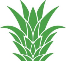 ananas Haut png illustration