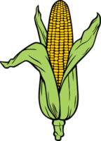 Corn - Corncob with Green Leaves PNG Illustration