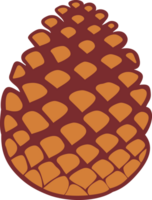 Pine Tree Cone PNG Illustration