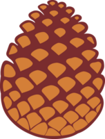 pino árbol cono png ilustración