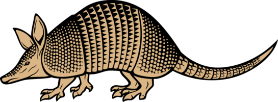 armadillo animal png ilustración