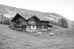 otoño hora en Suiza foto