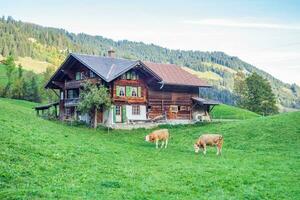 autumn time in switzerland photo