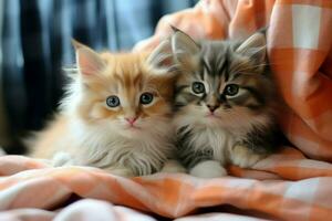 Cute kittens on fluffy plaid home relax. Generate Ai photo
