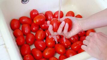 woman hands washing red tomatoes in kitchen sink, slow motion video