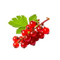 Red currant isolated on transparent background, created with generative AI png