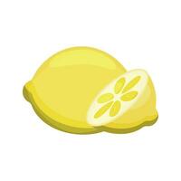 Yellow lemon and lemon slice vector