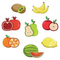 Set of juicy ripe fruits and slices on a white background vector