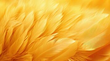 Golden feather background. Abstract texture for holiday background photo