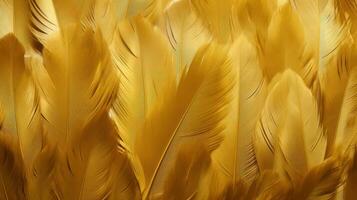 Fluffy Background Yellow Feathers Stock Photo, Picture and Royalty Free  Image. Image 26615588.