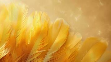 Golden Yellow Feathers Texture With High Resolution For Background