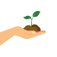 Plant in hand vector on white background. Plant in hand. Vector icon.