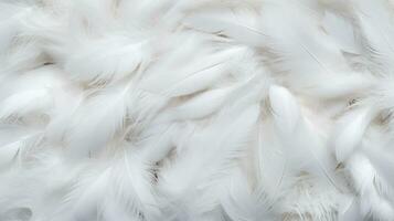 White feather texture background, pastel soft fur for baby to sleep. photo