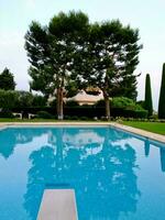 Idyllic Residential Swimming Pool in South France photo