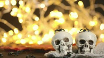 two skulls with spiders on a table with a string of lights video