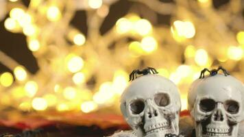 two skulls with spiders on a table with a string of lights video