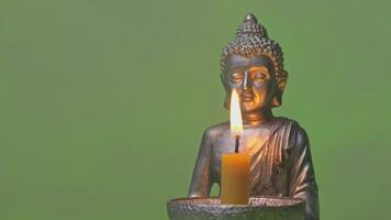 ein Buddha Statue mit ein zündete Kerze im Vorderseite von ein Grün Hintergrund video