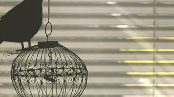 a bird is sitting on a cage with blinds video