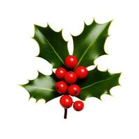 AI Generative Holly berry leaves. Christmas decoration isolated on background photo
