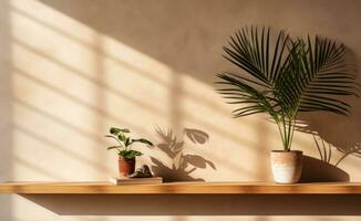 A bathroom of wall in the sunny day with palm leaf on it photo