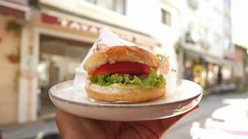 mão segurando carne hamburguer ao ar livre video