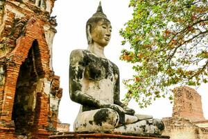 Statue of Buddha photo