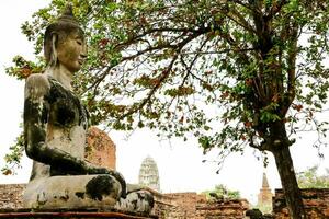 estatua de buda foto