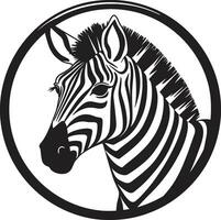 Prowling Zebra Graphic Stealthy Striped Beauty Badge vector