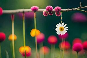 a daisy and a flower are hanging from a branch. AI-Generated photo