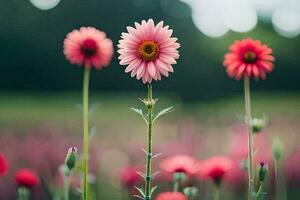 pink flowers in a field. AI-Generated photo