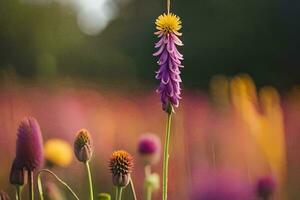 purple flowers in a field with blurry background. AI-Generated photo