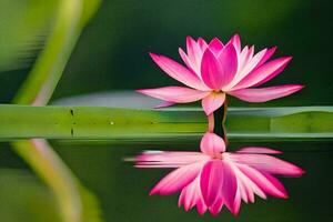a pink lotus flower is reflected in the water. AI-Generated photo