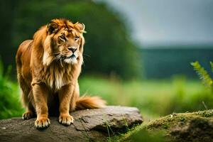a lion sitting on a rock in the middle of a field. AI-Generated photo