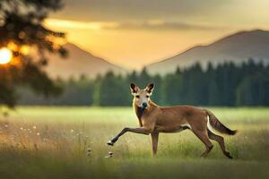 a horse running in the field at sunset. AI-Generated photo