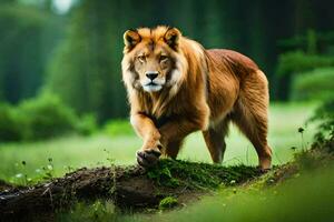 a lion walking across a grassy field. AI-Generated photo