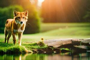 a dog standing on the grass next to a pond. AI-Generated photo