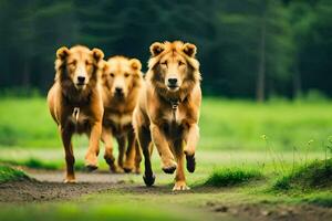 three lions running on a path in the forest. AI-Generated photo