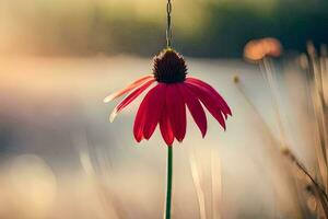 a red flower is hanging from a string. AI-Generated photo