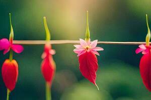 red flowers hanging from a clothesline. AI-Generated photo