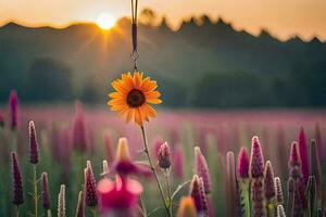 sunflower in the field, field, sun, field, field of flowers, field of sun. AI-Generated photo