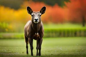 a deer stands in the grass with colorful trees in the background. AI-Generated photo