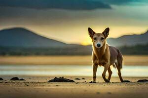 a dog standing on the beach at sunset. AI-Generated photo