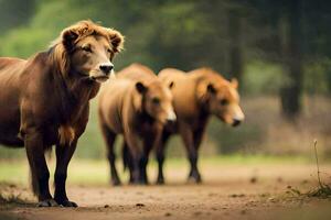 a lion and two other animals are walking in the woods. AI-Generated photo