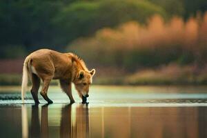 a horse drinking water from a lake. AI-Generated photo