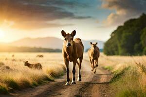 two horses are walking down a dirt road in a field. AI-Generated photo