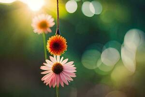 two flowers are hanging from a string. AI-Generated photo